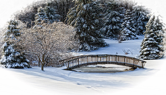 Winter Ice Storm